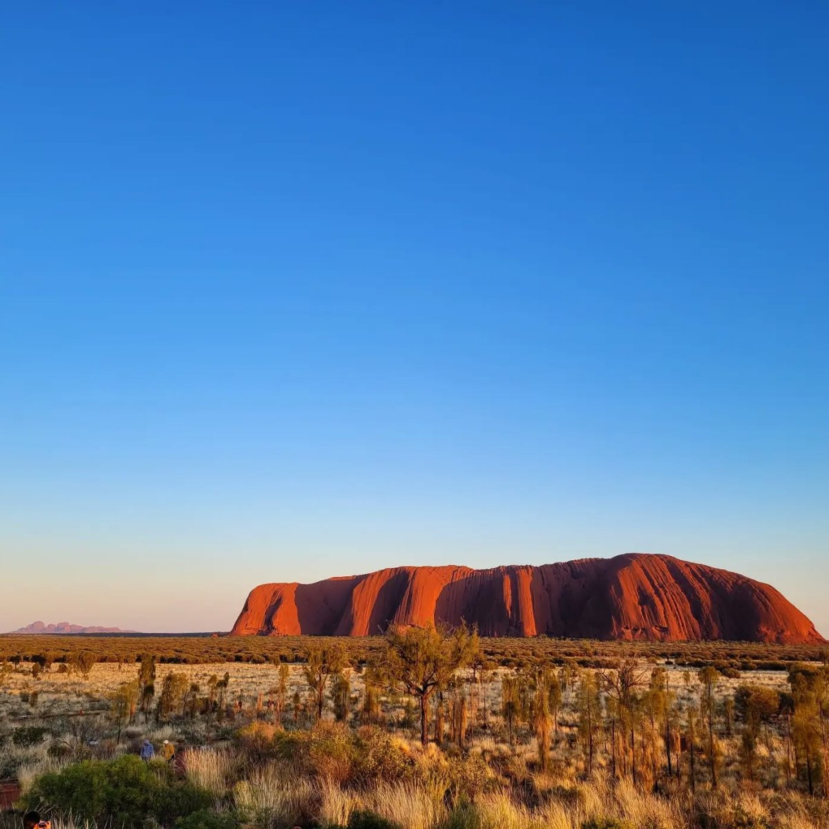 A Week in the Red&nbsp;Centre