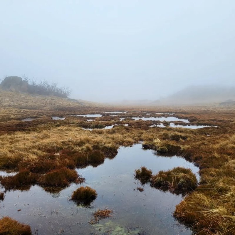 A Day Trip to Mount&nbsp;Buffalo