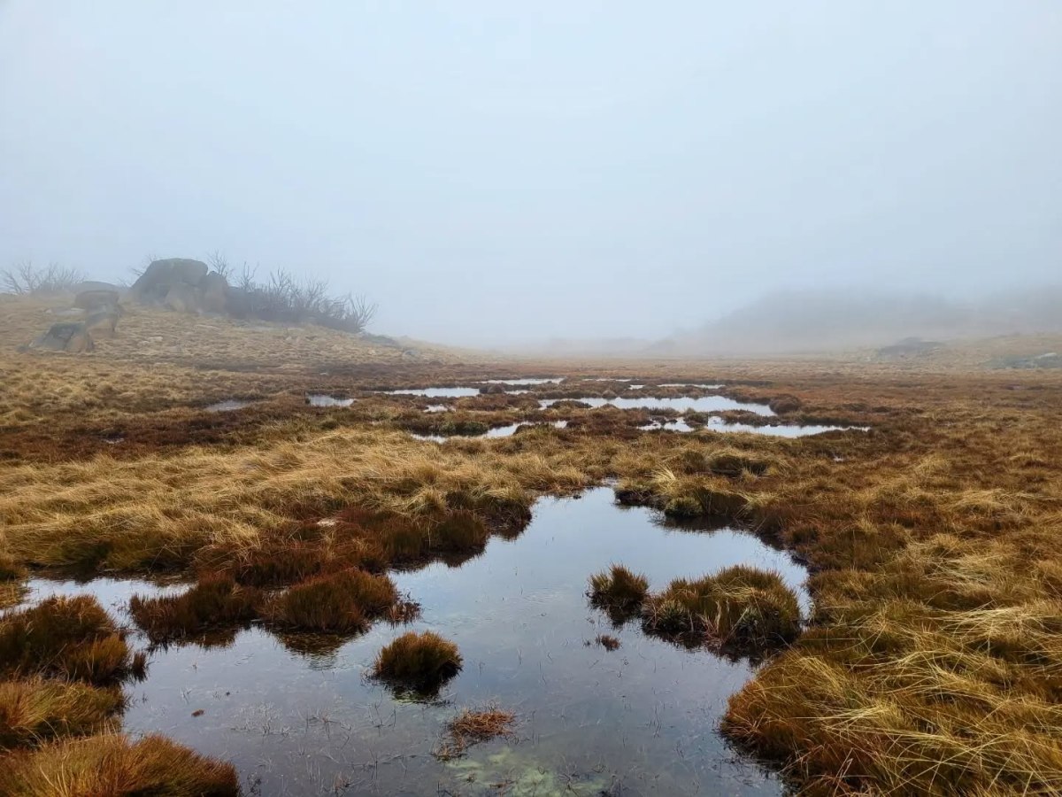 A Day Trip to Mount&nbsp;Buffalo
