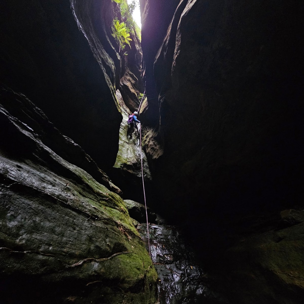 Bells Corner Canyon