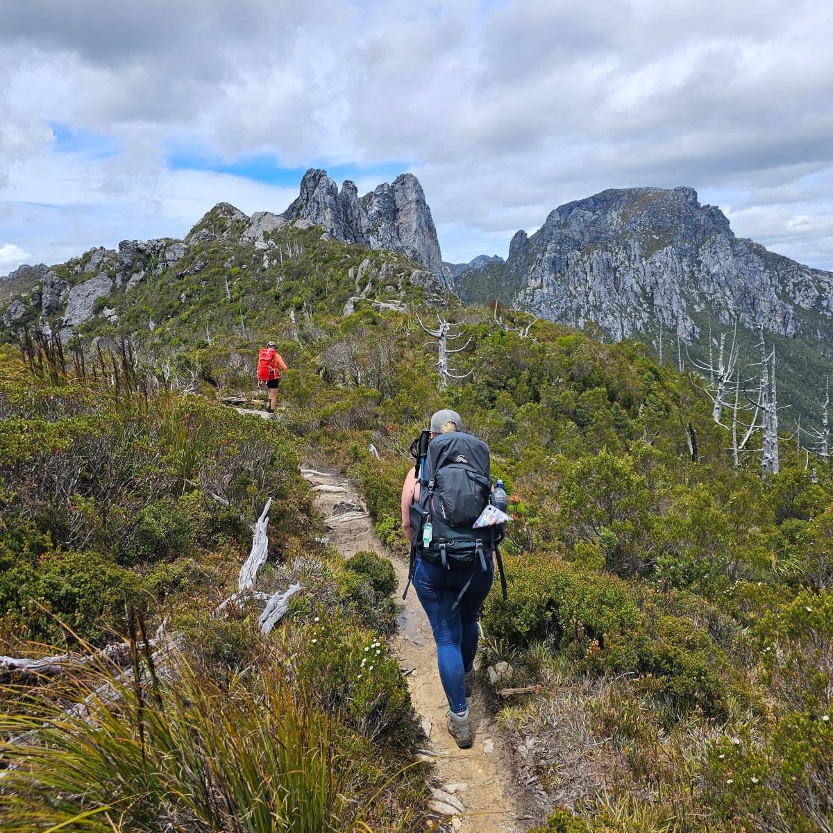 Hiking Frenchman’s Cap in&nbsp;Tassie