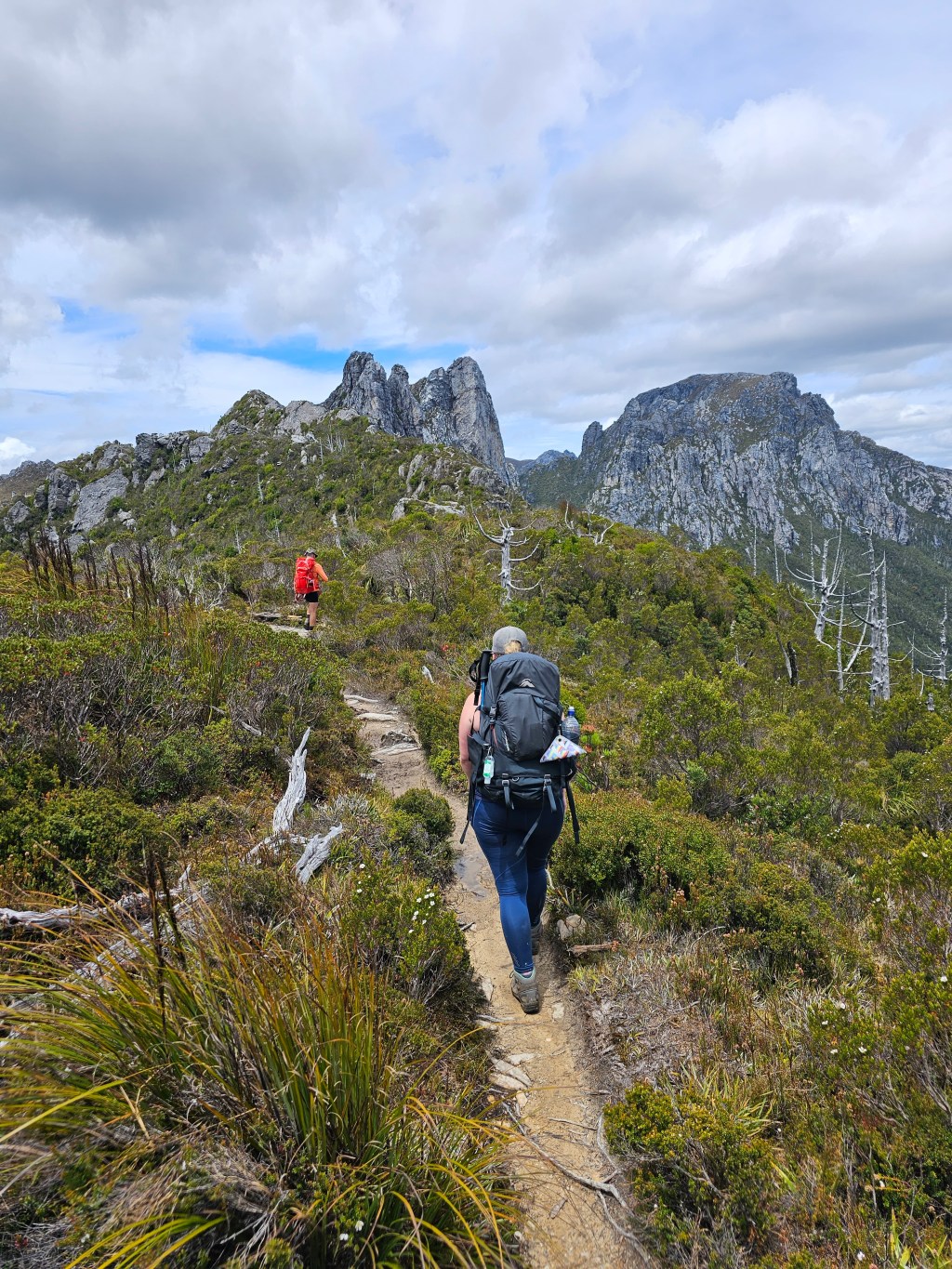 Hiking Frenchman’s Cap in&nbsp;Tassie