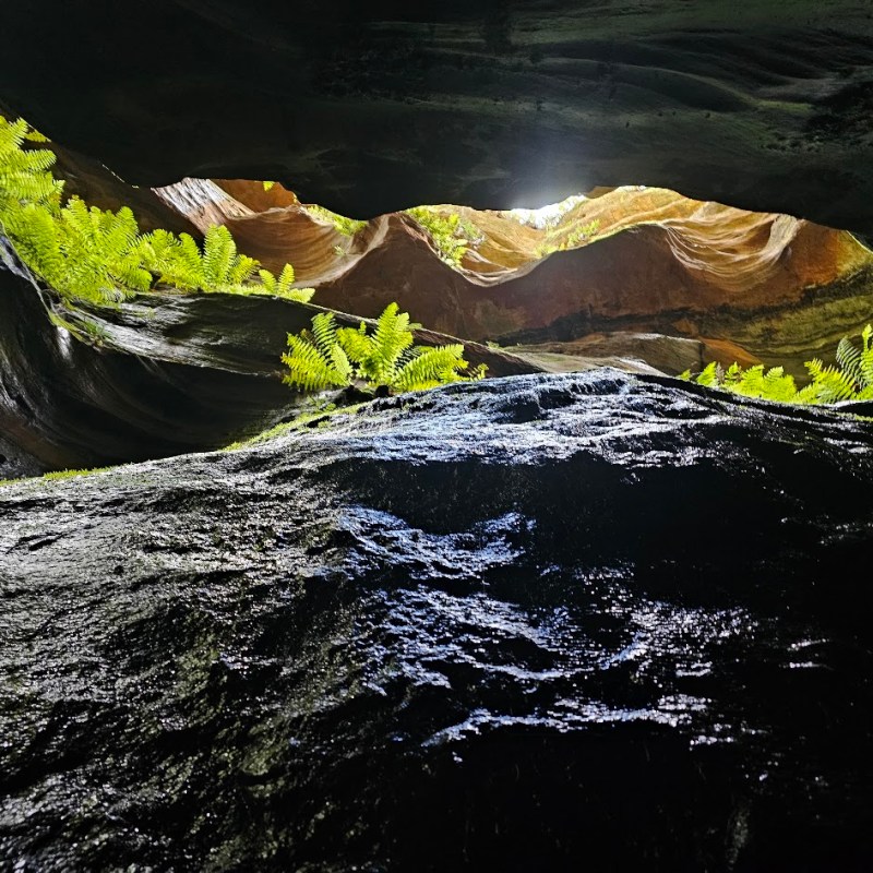 Surefire Canyon