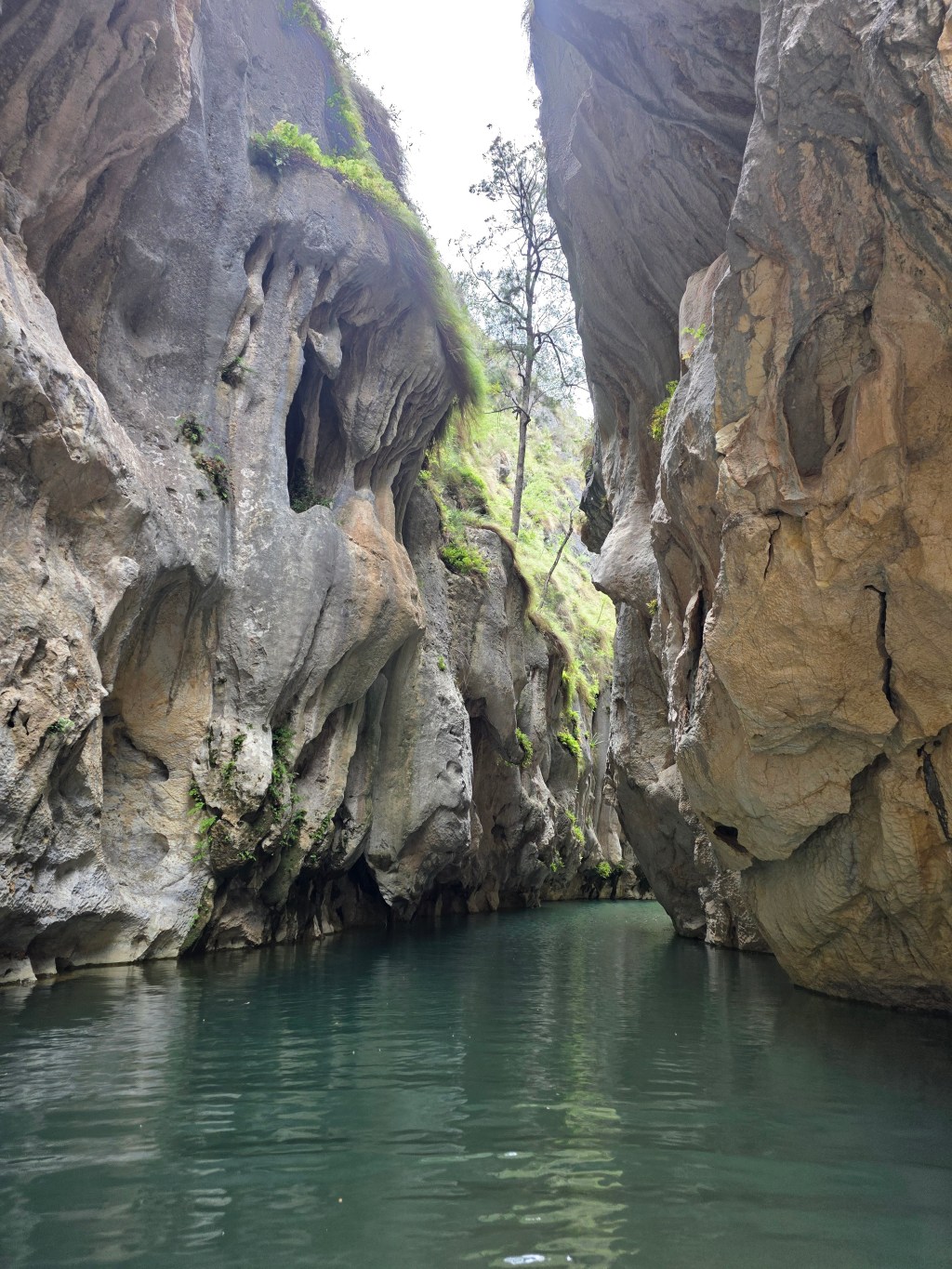 Mares Forest Creek&nbsp;Canyon